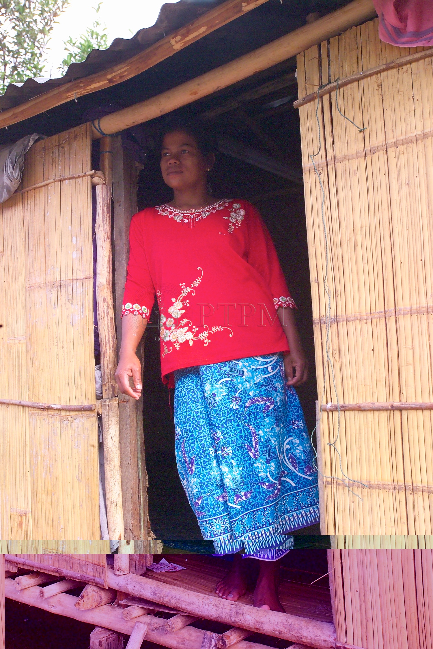 PTPM 06 31 kilau D9X44146